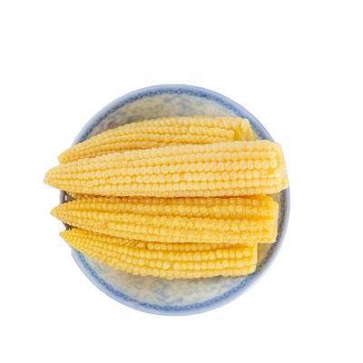 China Canned Nutritious Baking Dishes And Dishes Hot Sale OEM Canned Baby Corn for sale