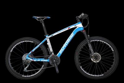 China High grade OEM customized logo 30 speed carbon fiber mountain bike for travel for sale