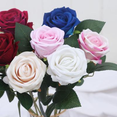 China Preserved Eternal Decorative Flowers Beautiful Colorful Style for Events Decoration for sale