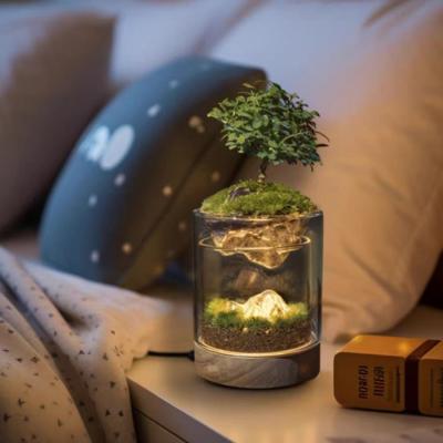 China Bonsai and Shopping Malls Fibre Glass Tabletop Terrariums with Brushwood Plant Fiber for sale