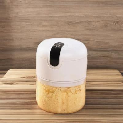 China Home Kitchen Essential Electric Garlic Chopper with USB and Waterproof Design for sale