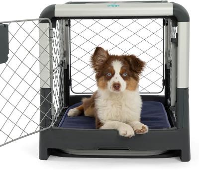 China Stocked Custom Size Safety Pet Outdoor Pet Cages Carriers Dog Transport Box Pet Carriers & Travel Products for sale