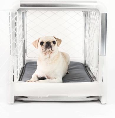 China Stocked Custom Size Safety Pet Outdoor Pet Cages Carriers Dog Transport Box Pet Carriers & Travel Products for sale