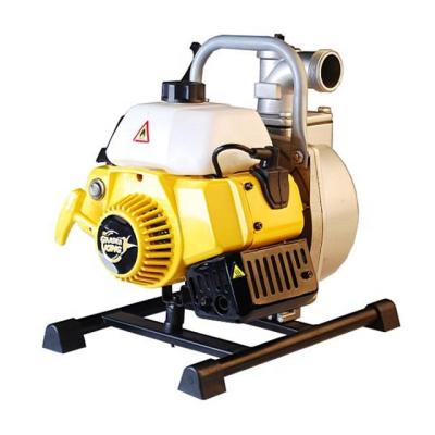 China Small Family Homes 2HP 411 Gasoline Air Cooling Water Pump for sale