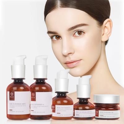 China Wholesale Custom Perfect Beauty Anti-Aging Organic OEM ODM Skin Moisturizer Korean Skin Care Facial Skin Care Set For Dry Skin for sale