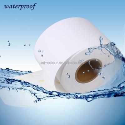 China Drylab Waterproof Waterproof Photo Paper Roll 8