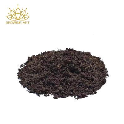 China CLASSIC Orchid Sphagnum Moss, Dried Forest Moss Potting Mix For Potted Plants Moisture Repotting Orchid Soil Medium,Natural Carnivorous for sale