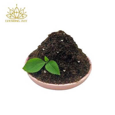 China CLASSIC Highest Quality Organic Coconut Fiber Sphagnum Peat Moss Soil Sphagnum Moss For Reptiles for sale