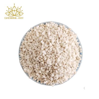 China CLASSIC Nature Organic Perlite For Horticultural Indoor Outdoor Plants Bonsai Expanded Perlite for sale