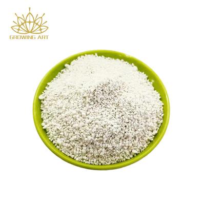 China CLASSIC Perlite Horticultural Soil Additive Potting Soil For Plants Seed Starter Expanded Perlite Agriculture for sale