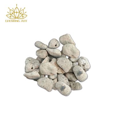 China CLASSIC Horticulture Pumice For Plants Succulents Cactus Bonsai Plants Pumice for feet for sale