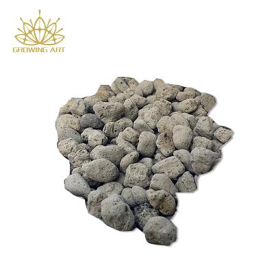 China CLASSIC Nature Pumice Stones For Horticulture Bonsai pumice for feet for sale