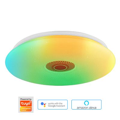 China Modern Led Light Lamp 300mm Remote Control Home WIFI APP LED Ceiling Light Music Speaker Dimmable RGB 400mm 500mm for sale