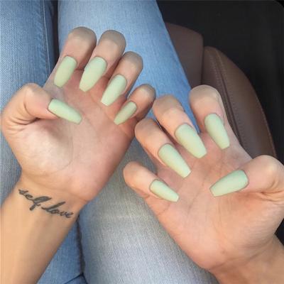 China Newest design hot sale press designs gray green eco print cheap custom ballet brushes false nails for sale