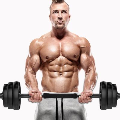 China Adjustable Lfiting Gym Equipment Dumbbell Barbell Set 10kg 15kg 20kg 30kg 40kg Weights for sale