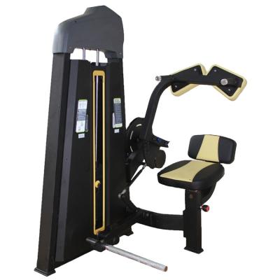 China Universal Commercial Abdominal Equipment Abdominal Front Machine Fitness Trainer Workout Equipment Gym Abdominal Isolator for sale