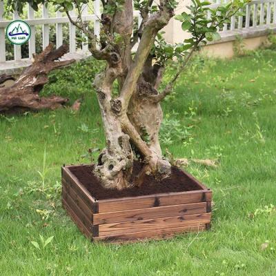 China Wholesale Wooden Various Shapes Wooden Planter Box Garden Flower Pot for sale