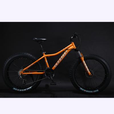 China Popular Snow Bike /Mountain Bike Adult 26 Inch 21