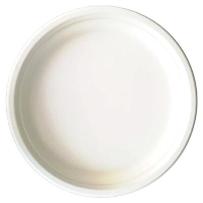 China Factory direct sales Disposable Eco-Friendly Disposable Party Dishes Bagasse Sugar Cane Disposable Paper Plate for sale