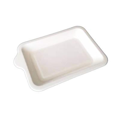 China Disposable Biodegradable Compostable Bagasse Cake Disposable Paper Trays for sale