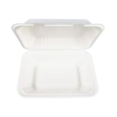 China Hebei Rectangular Biodegradable Clamshell Bagasse Food Compostable Box for sale