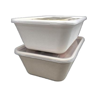 China China Sustainable Food Packaging Bamboo Bagasse Take Away Biodegradable Food Container for sale