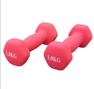 China Universal Women's Gym Fitness Free Weights Neoprene Coated Plastic Dipping PVC Dumbbell Dip PVC Dumbbell for sale