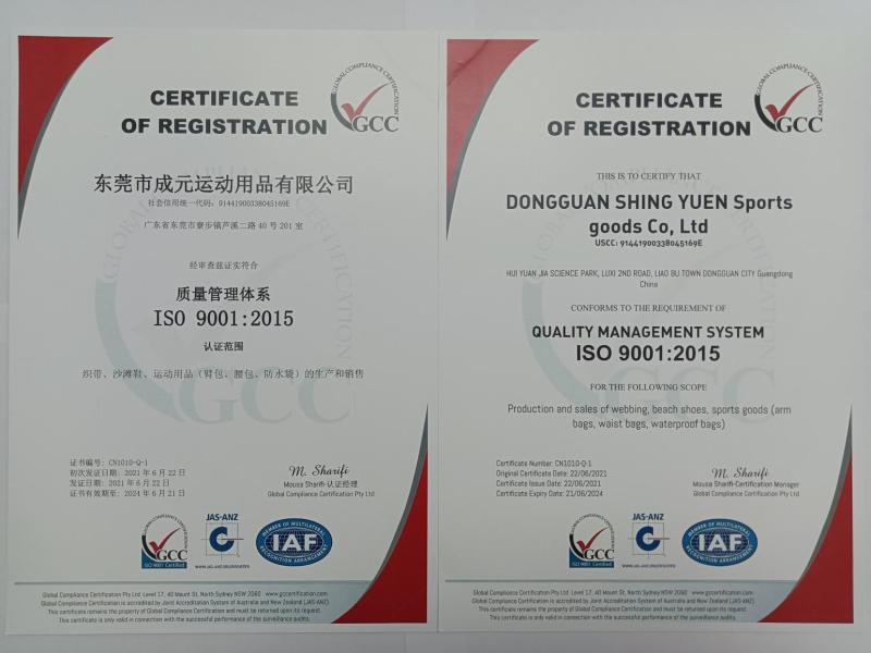 ISO9001 - Dongguan Chengyuan Sports Products Co., Ltd.