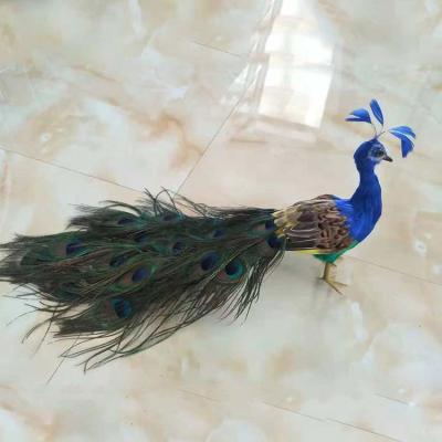 China Best Selling Colorful Christmas Peacock Handmade Feathers For Display for sale