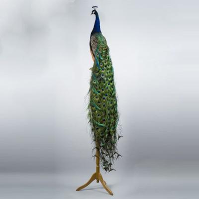 China Customized Colorful Peacock Handmade Real Design Feathers For Christmas Tree Decoration for sale