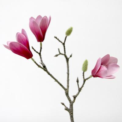 China Indor Decoration High Simulation Rosy Real Touch Stem Artificial Flowers Magnolia for sale