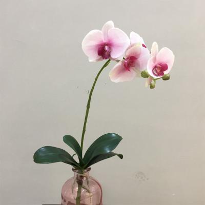 China Indor Decoration Best Selling Artificial Pink Phalaenopsis Orchid With 3 Flower Buds for sale