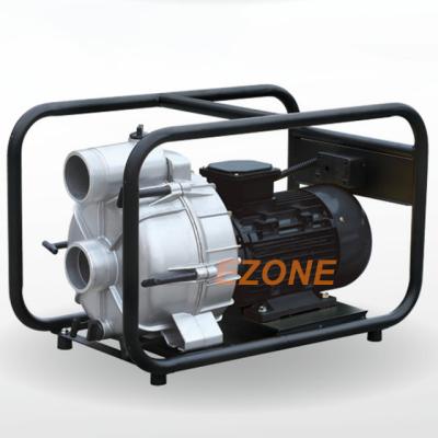 China Electric water pump of family houses en venta