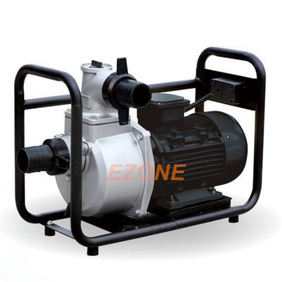 中国 Taizhou Family Homes Good Quality 2.5KW 3.5hp Electric Water Pump 220V/380V For Sale 販売のため