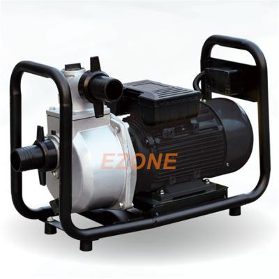 China EWP-15 1.5kW 2HP Family Homes Machinery Motors Electric Water Pump for Agriculture Irrigation for sale