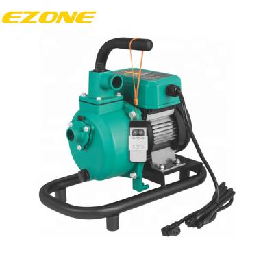 China Other 1 Inch Water Pump Agriculture Motor Pump 220v Electric Pump Te koop