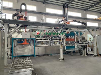 China De vacuümplaat die van de Zuigingspulp tot Machine maken volledig Automatisch Pulpvoedsel Tray Making Machine Te koop