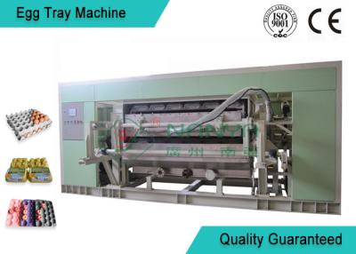 China Bandeja de Tray Making Machine For Egg/caixa do ovo/semeação moldadas inteiramente auto da linha de produção do copo à venda