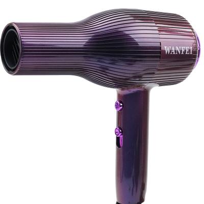 China Other Shiny Appearance Salon Light Weight Brand New Intelligent Professional High Speed ​​Hair Dryer for sale