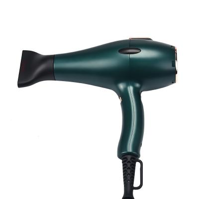 China 1500w Ionic Hair Dryer Johnson Motor Hair Dryer 1500w Fully Digital Lightweight Infrared Negative Professional Salon for sale