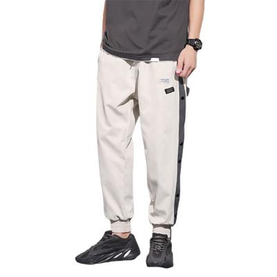 China Fashion Spring and Autumn Loose Fitting 100% Polyester Fiber Men's Cargo Pants QUICK DRY Pants for sale