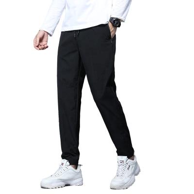 China Anti-Wrinkle Zipper Pocket Printing Nylon Cargo Pants Mens Trousers Wholesale Pants for sale