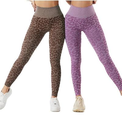 China Leopard Print Breathable Pants Waist Fitness Gaiters Summer High Yoga Pants Women Sportswear Shorts for sale