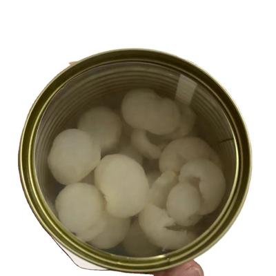 China New season good quality 567g canned cheap price canned longan fruit in syrup wholesaler for sale