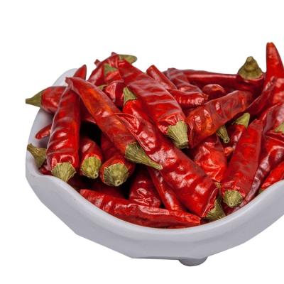 China High Quality Red Dry Cold Price Yindu/Jinta Dried Cheap Red Chilli Peppers S17 Teja for sale