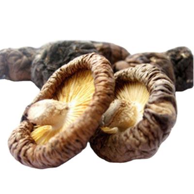 China China High Quality Dry Shiitake Mushroom 1kg for sale