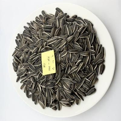 China Dry 601 style sunflower seeds dry wholesale price 363 5009 361 3638 3939 for sale