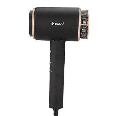 China Lenrood LR-5941 Mini Protection Factory Price Ergonomic AC Powerful Motor Low Noise Anti-overheating Hair Dryer Salon Use Home Hair Dryer for sale