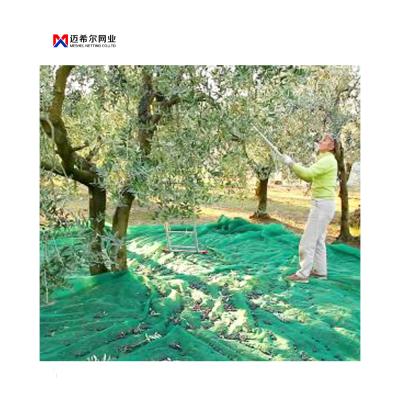 China 3~10 years wholesale price olive net for agriculture for sale