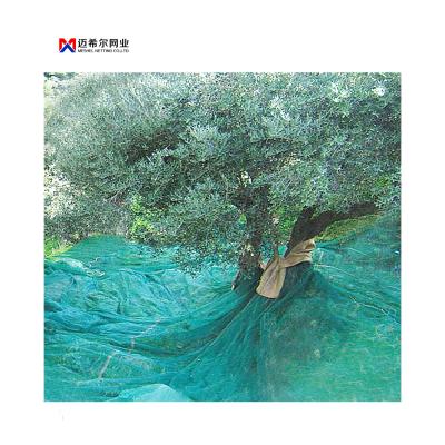 China 3~10 years high harvest net fruit for collection net and harvesting olive net for sale